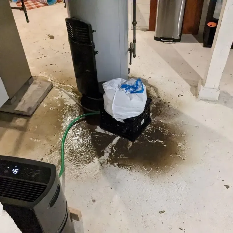 Sewage Backup Cleanup Service in Twiggs County, GA